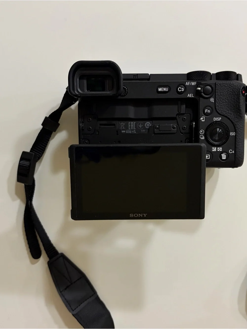 Sony Camera A6600 vlogging